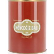 Köyceğiz Balı 4850 gr Teneke Çiçek Balı