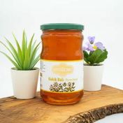 Köyceğiz Balı 850 gr Kekik Balı