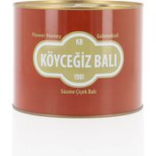 Köyceğiz Balı Çiçek Balı 2850 gr Teneke
