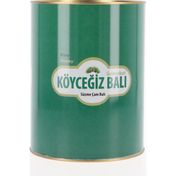 Köyceğiz Çam Balı 4850 gr