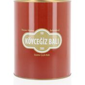 Köyceğiz Çiçek Balı 4850 gr Teneke
