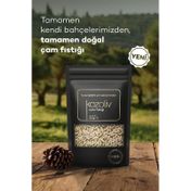 Kozoliv 50 gr Çam Fıstığı