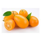 Kumkuat