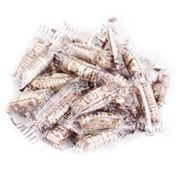 Kurtuluş Kuruyemiş 500 gr Hurma Şekeri