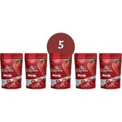 Little Crunchies 5x20 gr Freeze Dried Dondurularak Kurutulmuş Çilek
