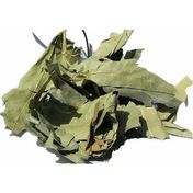 Lokman Aktar 250 gr Çınar Yaprağı