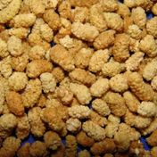 Lokman Aktar 250 gr Dut Kurusu