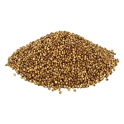 Lokman Aktar 500 gr Tane Kişniş