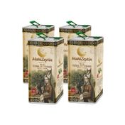 Mahizeytin 20 lt Soğuk Sıkım Natürel Sızma Zeytinyağı