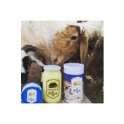 Mahmutoğulları 900 gr Ghee Laktozsuz Sütyağı İçeren Sadeyağ