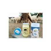 Mahmutoğulları 900 gr Urfa Ghee Sade Yağ