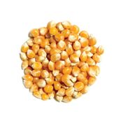 Mare Çiftliği 500 gr Cin Mısır
