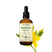 Minia Bahçe 30 ml Sarı Kantaron Kalıcı Yağı