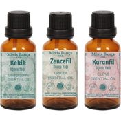 Minia Bahçe Kekik Yağı 10 ml + Zencefil Yağı 10 ml + 10 ml Karanfil Yağı
