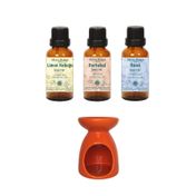 Minia Bahçe Limon Kabuğu Yağı 10 ml + Portakal Yağı 10 ml + 10 ml Nane Yağı