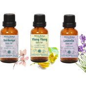 Minia Bahçe Sardunya Yağı 10 ml + Ylang Ylang Yağı 10 ml + 10 ml Lavanta Yağı