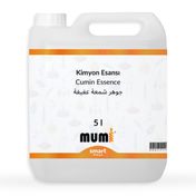 Mumi 5 lt Kimyon Mum Esansı