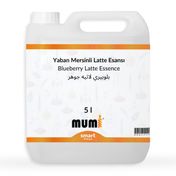 Mumi 5 lt Yaban Mersinli Latte Mum Esansı
