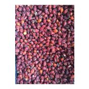 Natural 1 kg Kuşburnu Kurusu