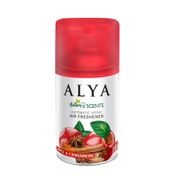 Nature's Scents 250 ml Apple Cinnamon Elma Tarçın Oda Kokusu Yedek Makine Spreyi