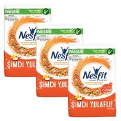 Nestle Nesfit Karışık Meyveli 3x400 gr Kahvaltılık Gevrek