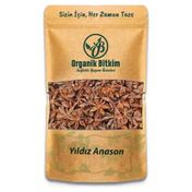 Organik Bitkim 100 gr Yıldız Anason