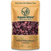 Organik Bitkim 250 gr Yaban Mersini Kurusu