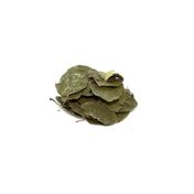 Pavrika 50 gr Avakado Yaprağı