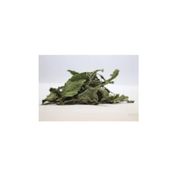 Pavrika 50 gr Stevia