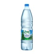 Pınar 1.5 lt Pet Su