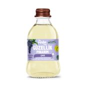 Pınar 250 ml Güzellik Pınarım Aloeveralı Üzümlü İçecek