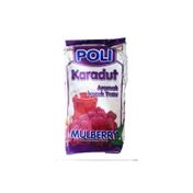 Poli 300 gr Karadut Aromalı Toz İçecek