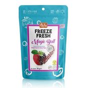 Pol’s 16 gr Freeze Fresh Magic Ball Böğürtlenli Elma Topları