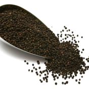Qavruq 1 kg Tane Karabiber