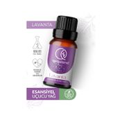 Qoquland 10 ml Lavanta Uçucu Yağ Buhurdanlık Esansı Oda Kokusu