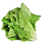 Royaleks 10 gr Yedikule Marul Tohumu