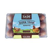 Sade Gurme 15'li Gezen Yumurta