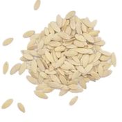 Sanita 1 kg Salatalık Tohumu