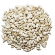 Sanita 500 gr Haspir Tohumu