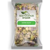 Sarıbahçe 50 gr Hatmi Çiçeği