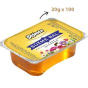Seğmen Piknik 100x20 gr Süzme Çiçek Balı