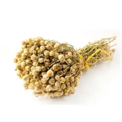 Selçuk Baharat 500 gr Üzerlik Otu