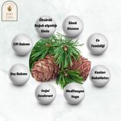 Sera Natura 10 ml Sedir Uçucu Yağı