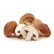 Shitake Mantar kg