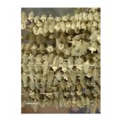 Silifke Market 100 gr Kuru Bamya