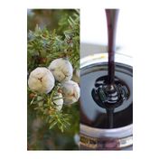 Silifke Market 800 gr Andız Pekmezi
