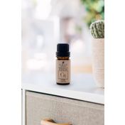 Siner Torque 10 ml Clean Room Buhurdanlık Yağı Oda Kokusu