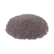 Tarihi Heybeli Baharat 100 gr Siyah Hardal Tohumu