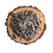 Ticaret Denizi 250 gr Dakota İri Boy Elek Üstü İnegöl Yerli Çiğ Siyah Ay Çekirdeği