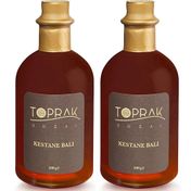 Toprak Doğal 2x300 gr Kestane Balı